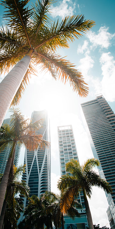 Rascacielos Miami